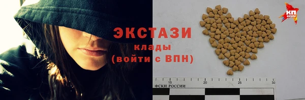 амф Гусиноозёрск