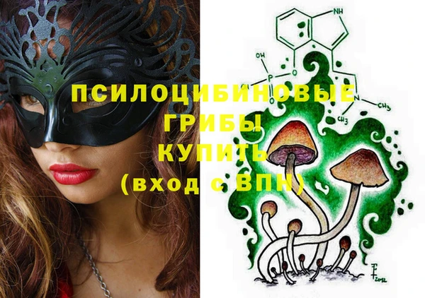 молекула духа Балахна