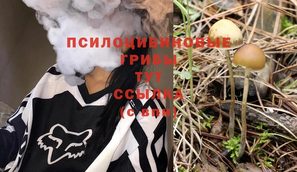 спайс Аркадак