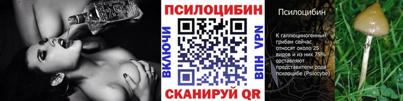 цены наркотик  shop телеграм  Галлюциногенные грибы прущие грибы  Старица 