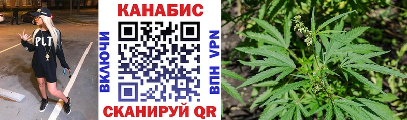 МАРИХУАНА White Widow  Старица 
